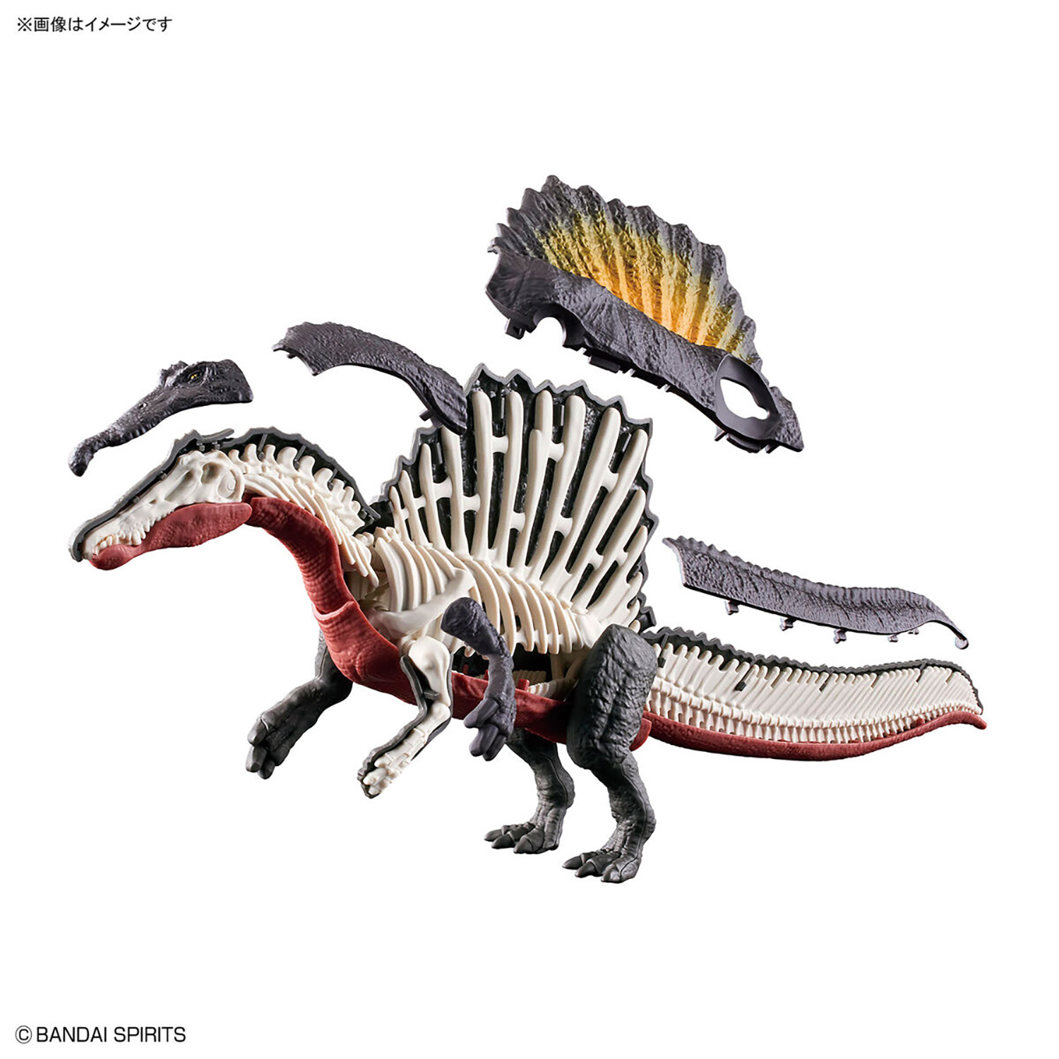 スピノサウルス プラモデル (バンダイ プラノサウルス No.005) 商品画像_1