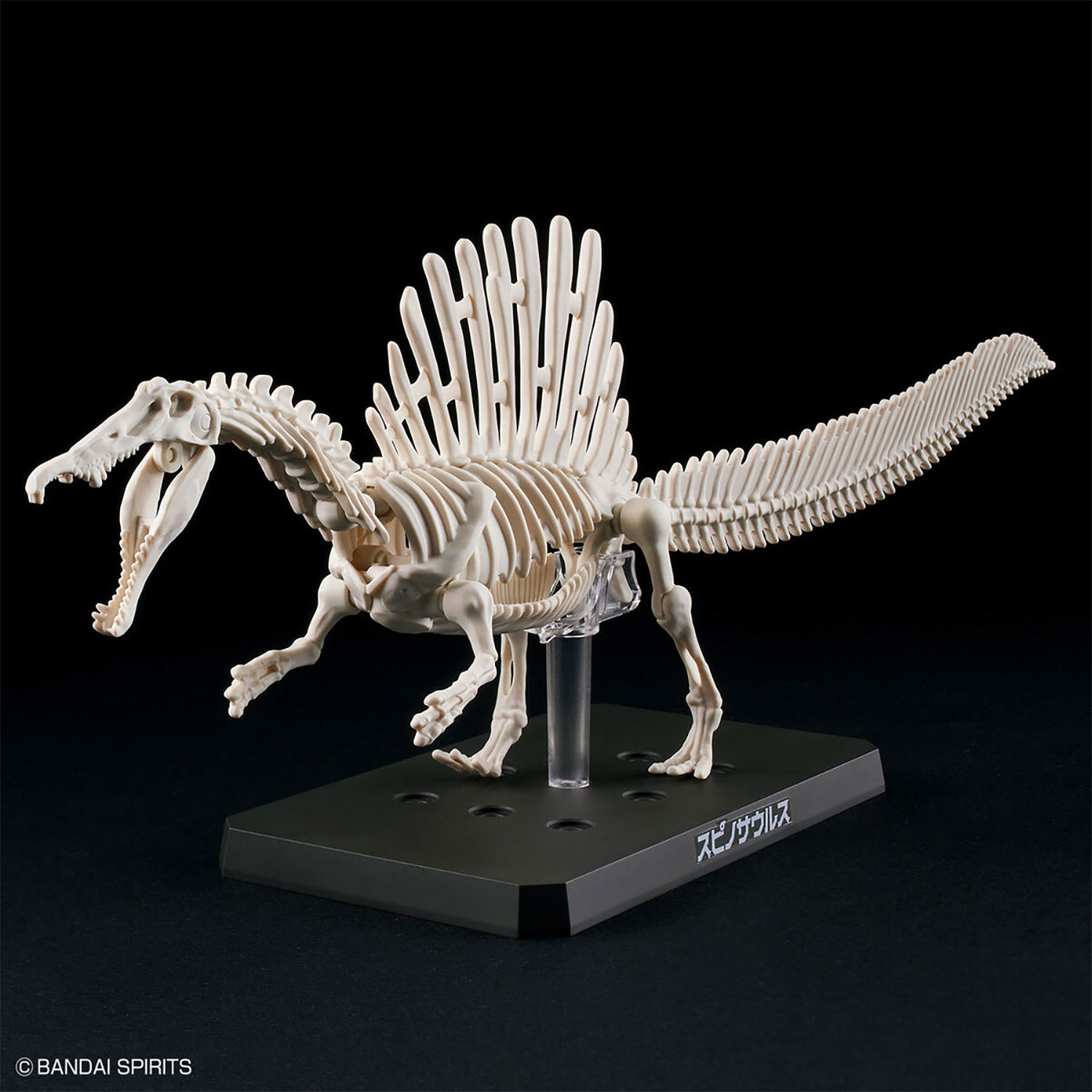スピノサウルス プラモデル (バンダイ プラノサウルス No.005) 商品画像_4