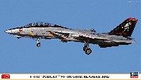 ハセガワ 1/72 飛行機 限定生産 F-14D トムキャット VF-101 グリム リーパーズ 2002