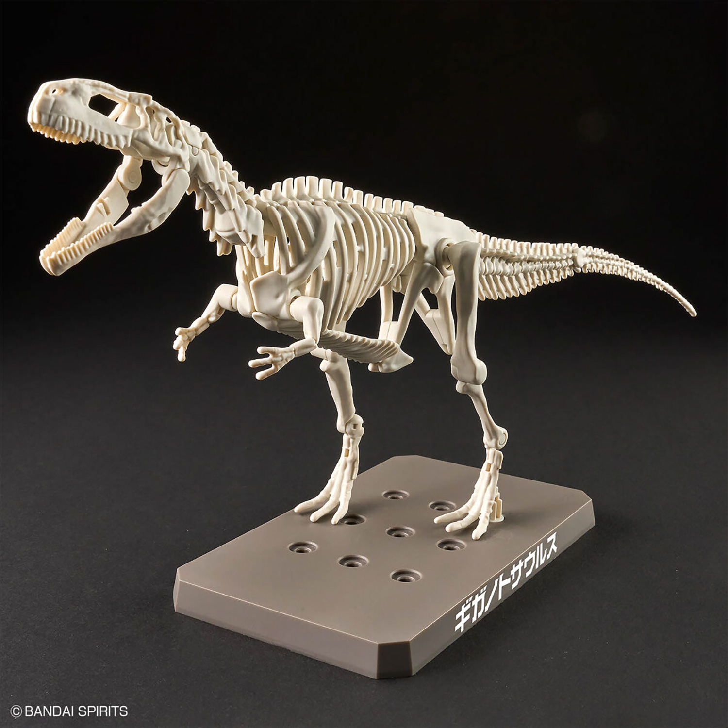 ギガノトサウルス プラモデル (バンダイ プラノサウルス No.008) 商品画像_2
