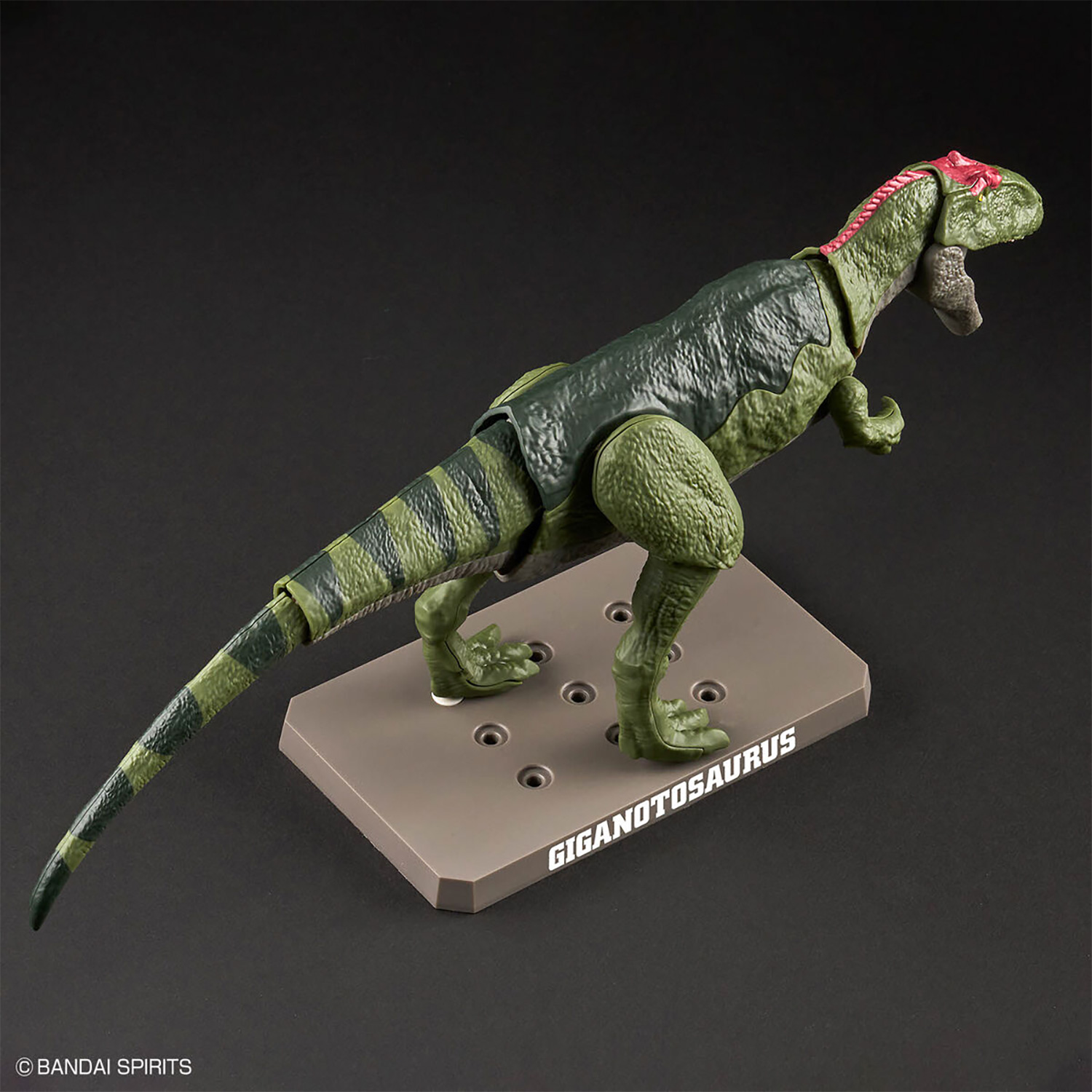 ギガノトサウルス プラモデル (バンダイ プラノサウルス No.008) 商品画像_3