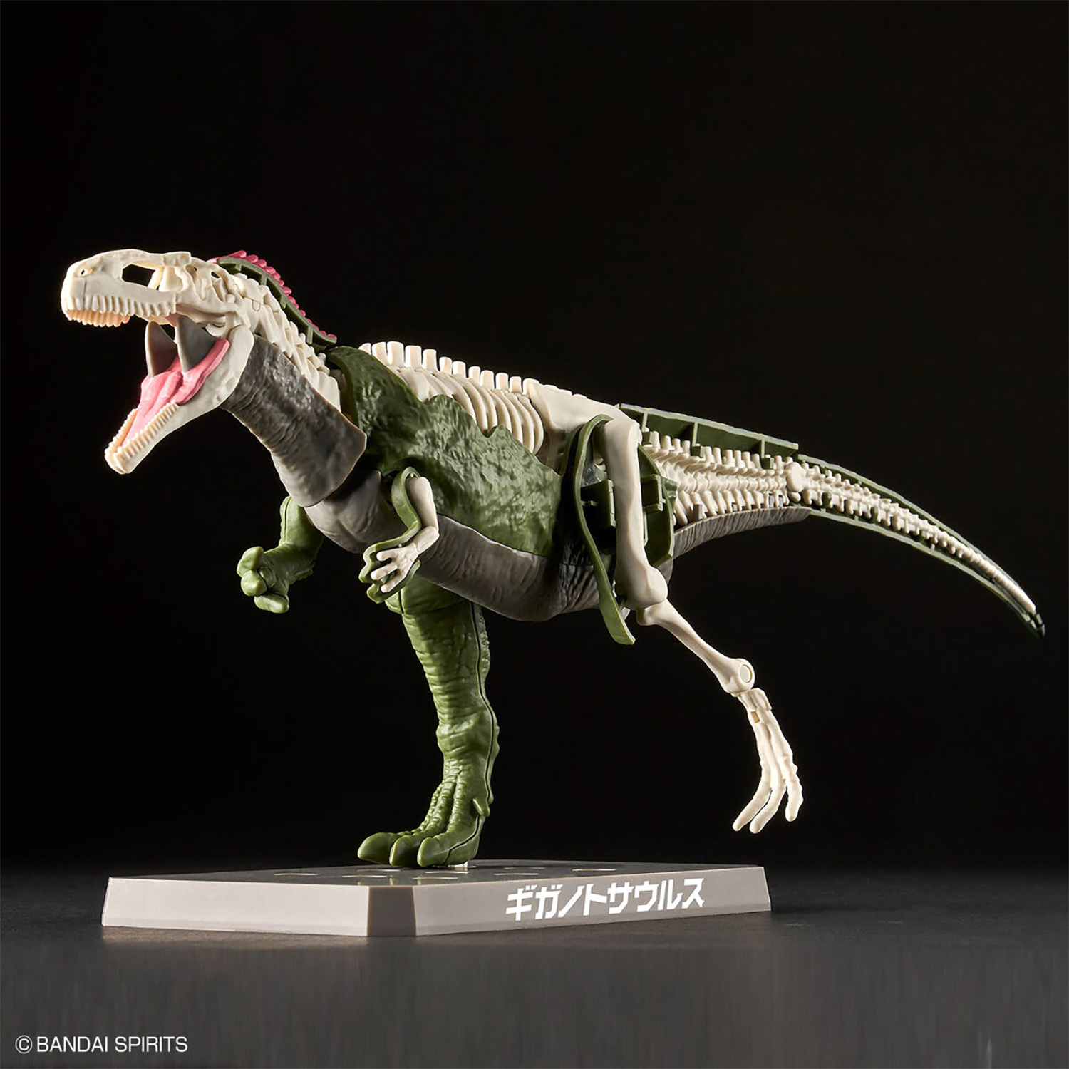 ギガノトサウルス プラモデル (バンダイ プラノサウルス No.008) 商品画像_4