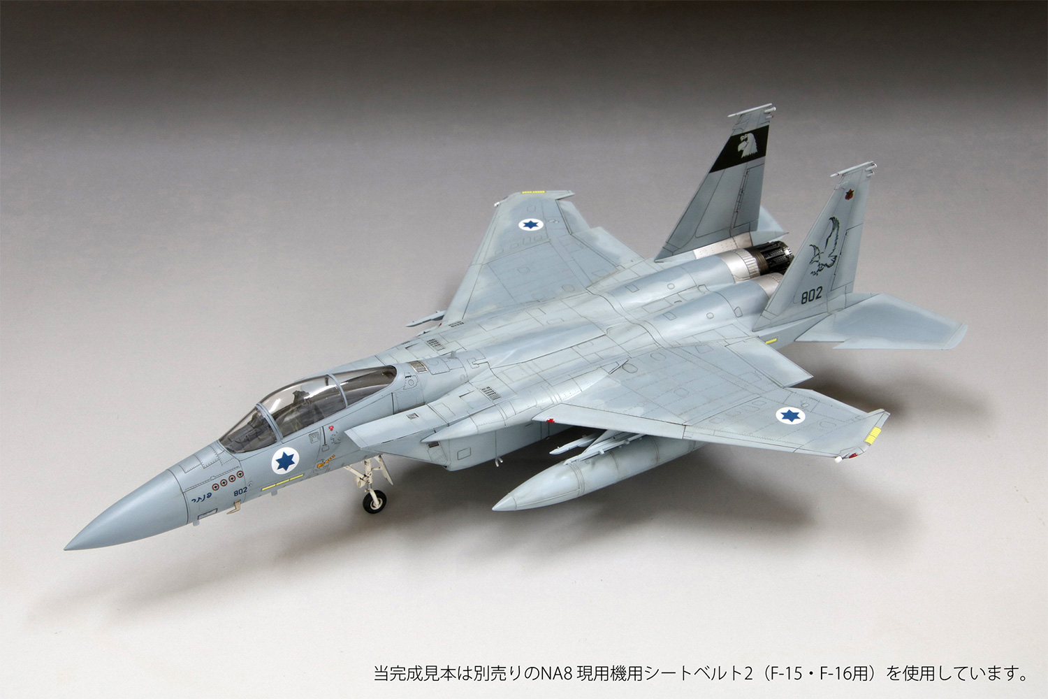イスラエル空軍 F-15C 戦闘機 バズ プラモデル (ファインモールド 1/72 航空機 限定品 No.FX001) 商品画像_2