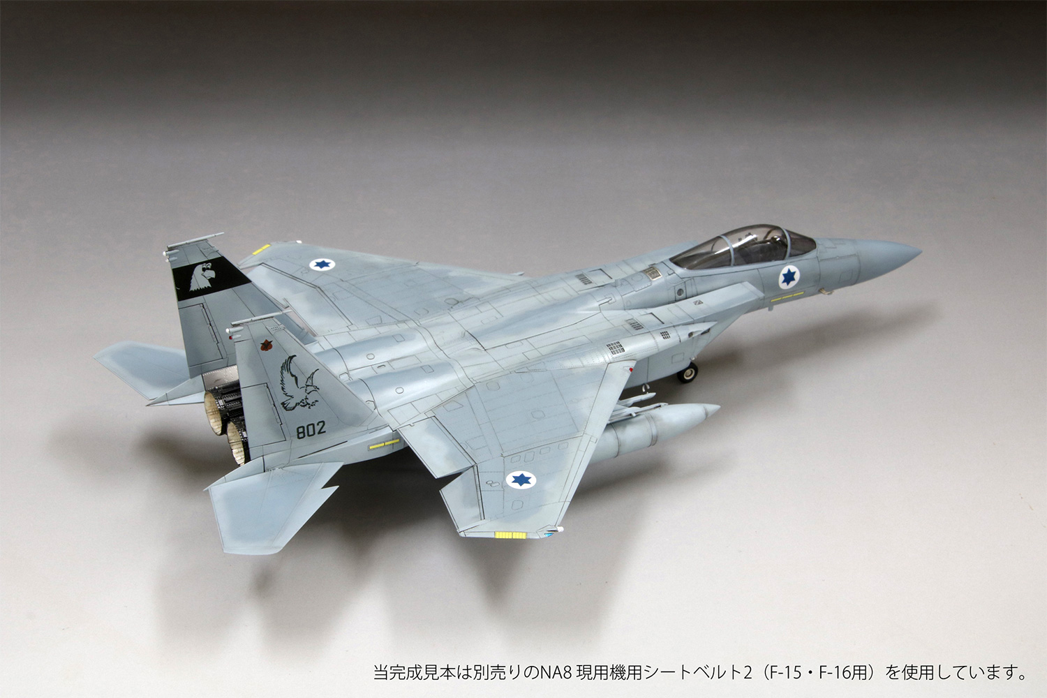 イスラエル空軍 F-15C 戦闘機 バズ プラモデル (ファインモールド 1/72 航空機 限定品 No.FX001) 商品画像_3