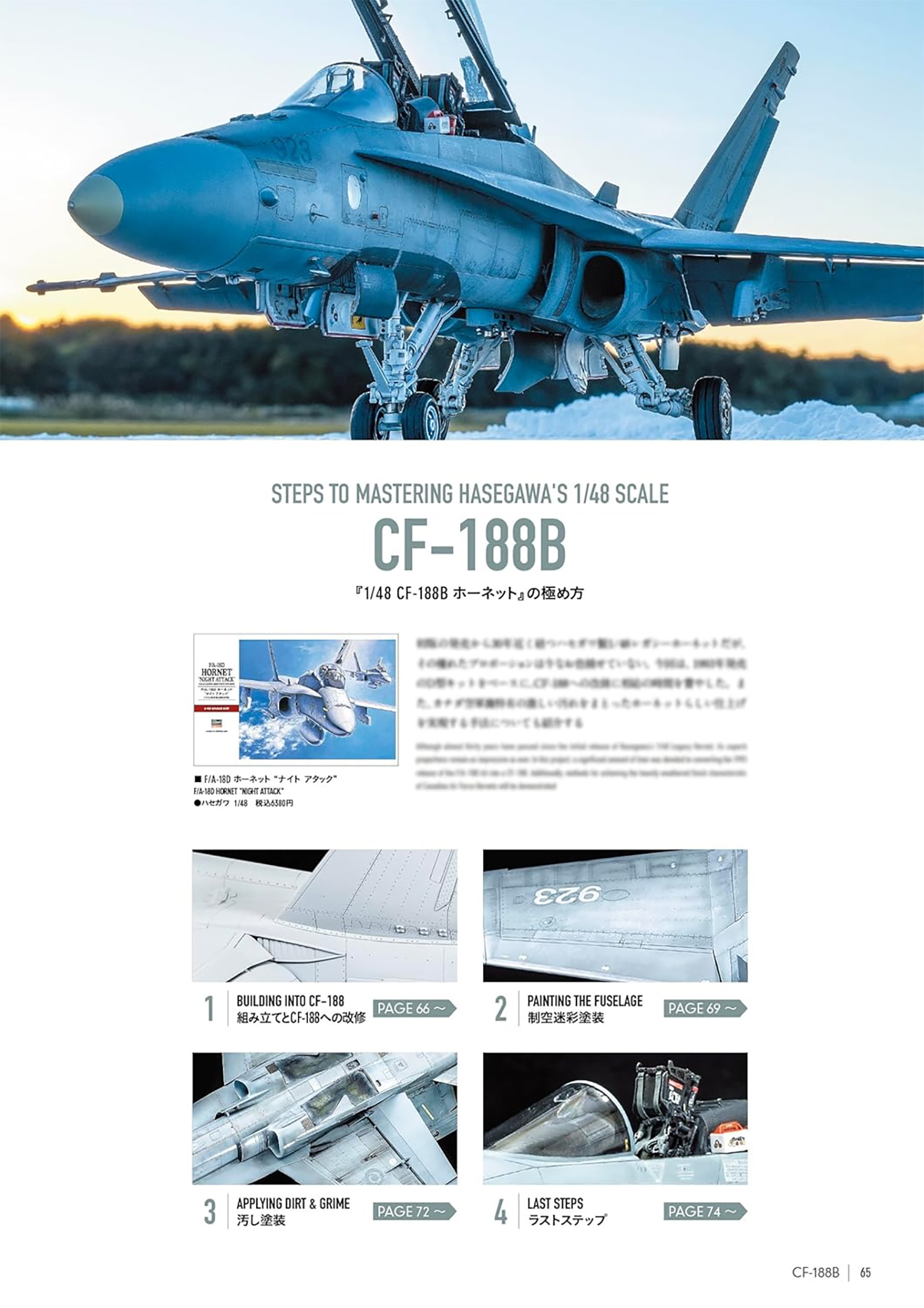 モデリング・マスターファイル ロービジ現用機の極め方 本 (大日本絵画 航空機関連書籍 No.23419-1) 商品画像_4