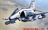 F-4G ファントム 2 ワイルドウィーゼル (アメリカ空軍 戦闘機）