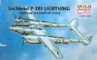 ミニクラフト 1/144 軍用機プラスチックモデルキット P-38J ライトニング