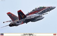F/A-18D ホーネット VMFA(AW)-224 ベンガルズ 2024