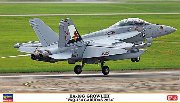 EA-18G グラウラー VAQ-134 ガルーダス 2024 プラモデル (ハセガワ 1/72 飛行機 限定生産 No.02487) 商品画像