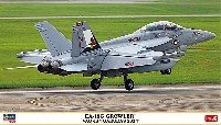 EA-18G グラウラー VAQ-134 ガルーダス 2024