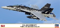 F/A-18D ホーネット  VMFA-115 シルバーイーグルス 