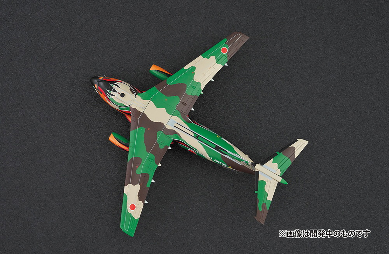 航空自衛隊 C-1 輸送機 LAST TOUR フェニックス特別塗装機 レジン                 (プラッツ 1/144 マルチマテリアルキット No.PC-015) 商品画像_4