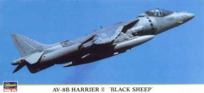 AV-8B ハリアー 2 ブラックシープ プラモデル (ハセガワ 1/72 飛行機 限定生産 No.00766) 商品画像