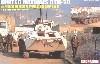U.N. BTR-70 w/ウクライナピースキーパーズ