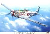 P-51D ムスタング ビッグ ビューティフル ドール