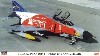 F-4EJ改 スーパーファントム 第302飛行隊 創設30周年記念塗装