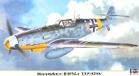 ハセガワ 1/48 飛行機 限定生産 メッサーシュミット Bｆ109Ｇ-6 エクスペルテン