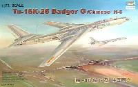 ツポレフ Tu-16K-26 バジャーG