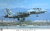 F-14B トムキャット VF-102 ダイヤモンドバックス