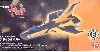 ブラックタイガー