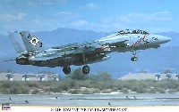 ハセガワ 1/48 飛行機 限定生産 F-14B トムキャット VF-102 ダイヤモンドバックス