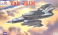 Yak-28 IMジェット爆撃機