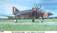 RF-4E ファントム 2 AG52 スペシャルペイント