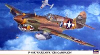 ハセガワ 1/48 飛行機 限定生産 P-40K ウォーホーク CBI戦線