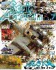 スケール アヴィエーション 2006年7月号