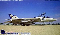 F-14D トムキャット VF-213 最終記念塗装