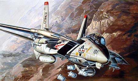 F-14A ボムキャット プラモデル (フジミ 1/72 Ｉシリーズ No.I-006) 商品画像