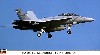 F/A-18F スーパーホーネット ロービジ