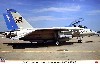 Ｆ-14D トムキャット VF-213 ブラックライオンズ ラストクルーズ