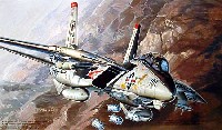 フジミ 1/72 Ｉシリーズ F-14A ボムキャット