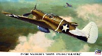 ハセガワ 1/48 飛行機 限定生産 P-40M ウォーホーク 南太平洋戦線