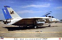 Ｆ-14D トムキャット VF-213 ブラックライオンズ ラストクルーズ