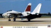 Ｆ-14D トムキャット VF-101 グリム リーパーズ