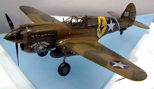 P-40E ウォーホーク サウス パシフィック エーセス プラモデル (ハセガワ 1/48 飛行機 限定生産 No.09702) 商品画像_2