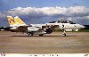 Ｆ-14B トムキャット VF-32 スォーズメン