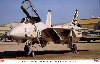 F-14B トムキャット VF-143 ピューキン ドッグズ ラストクルーズ