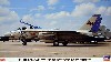 Ｆ-14D トムキャット VF-213 ブラックライオンズ ラストクルーズ
