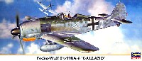 フォッケウルフ Fw190A-6 ガーランド