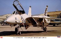 ハセガワ 1/48 飛行機 限定生産 F-14B トムキャット VF-143 ピューキン ドッグズ ラストクルーズ
