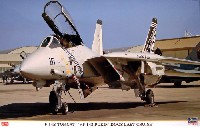F-14B トムキャット VF-143 ピューキン ドッグズ ラストクルーズ