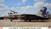 Ｆ-14D トムキャット VF-213 ブラックライオンズ ラストクルーズ