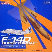 Ｆ-14D トムキャット VF-213 ブラック ライオンズ