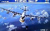 ロシア空軍戦略爆撃機 Tu-95MS ベアーH型