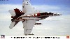F/A-18F スーパーホーネット VFA-102 ダイヤモンドバックス CAG