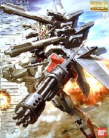 GAT-X105 ストライクガンダム + I.W.S.P.