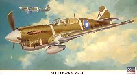 ハセガワ 1/48 飛行機 限定生産 キティホーク Mk.3